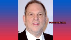 Harvey Weinstein Biography