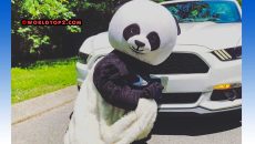 Panderz real Identity and face