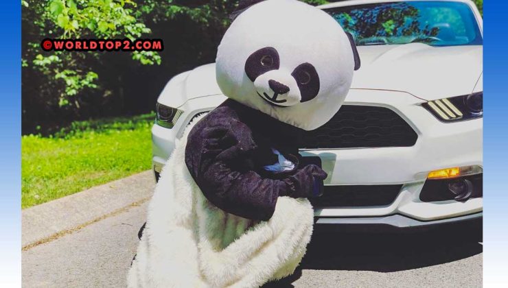 Panderz real Identity and face