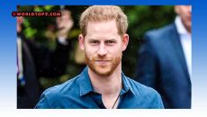 Prince Harry Biography