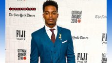 Stephan James Biography