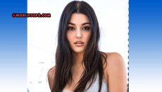 Hande Ercel net worth