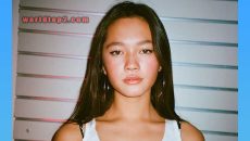 Lily Chee Biography