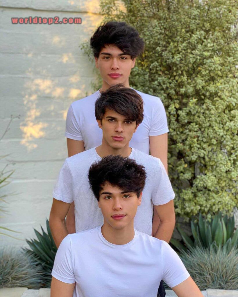 Alan Stokes bio wiki facts