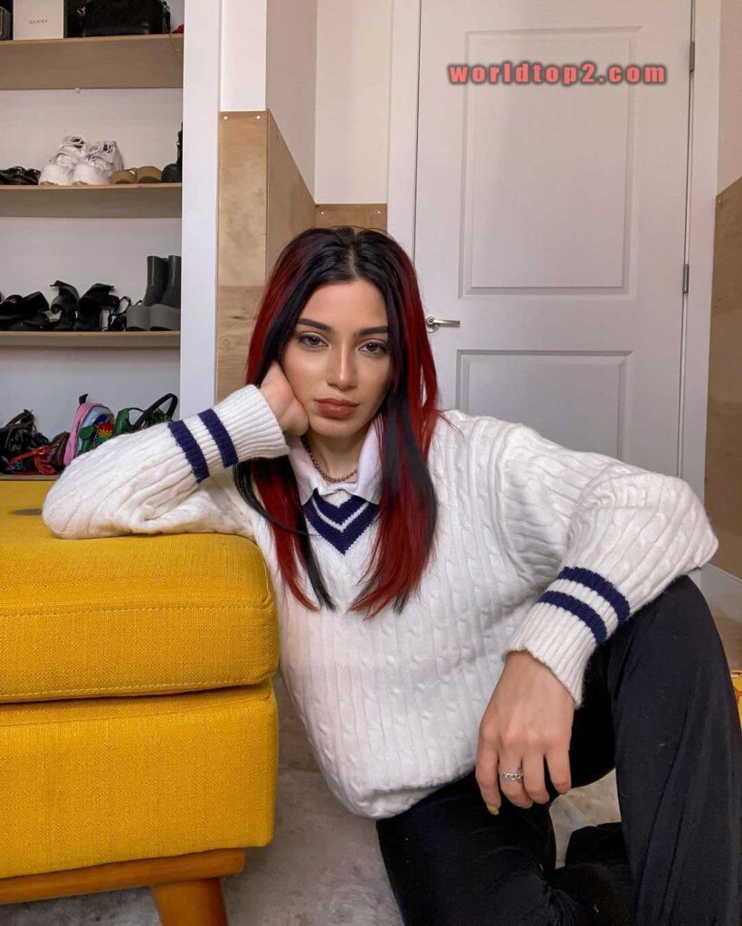 Niki DeMartino bio wiki facts