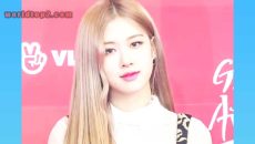 Roseanne Park Biography