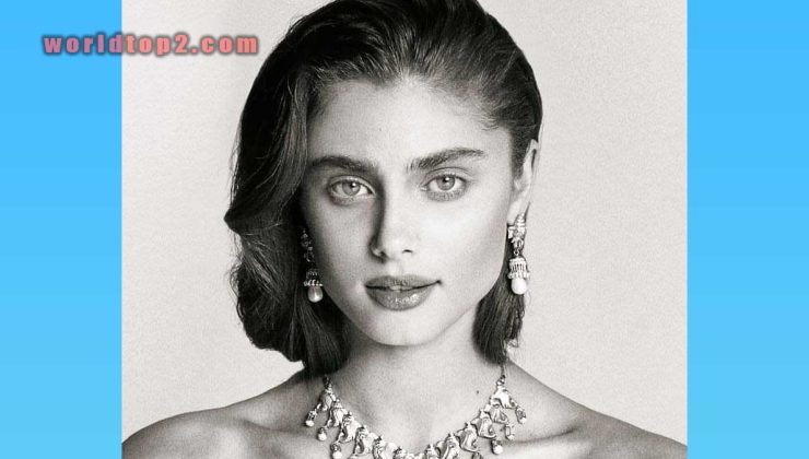 Taylor Hills Biography