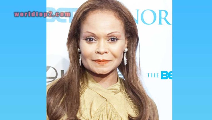 Janice Bryant Howroyd Biography