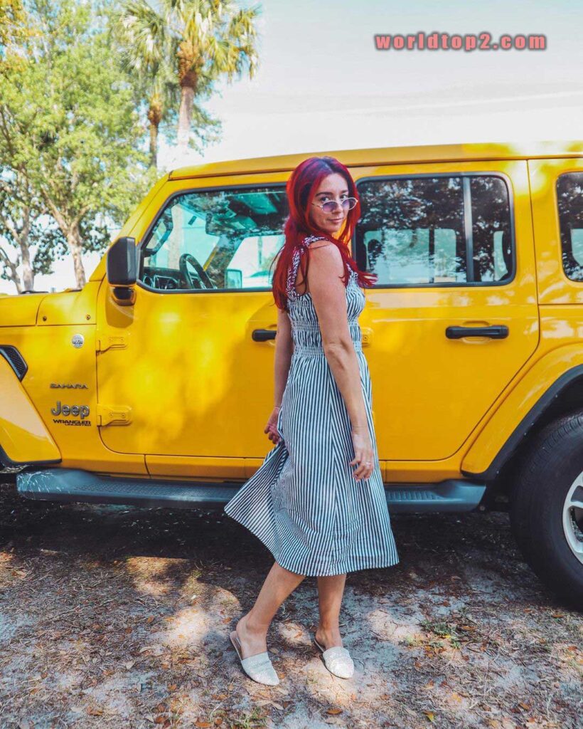 Alex Fasulo net worth