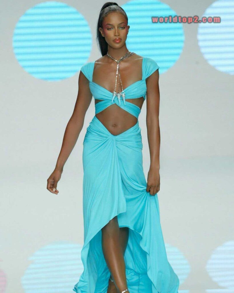 Naomi Campbell net worth