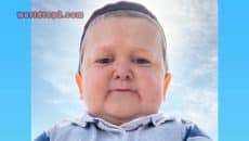 Hasbulla Magomedov Biography