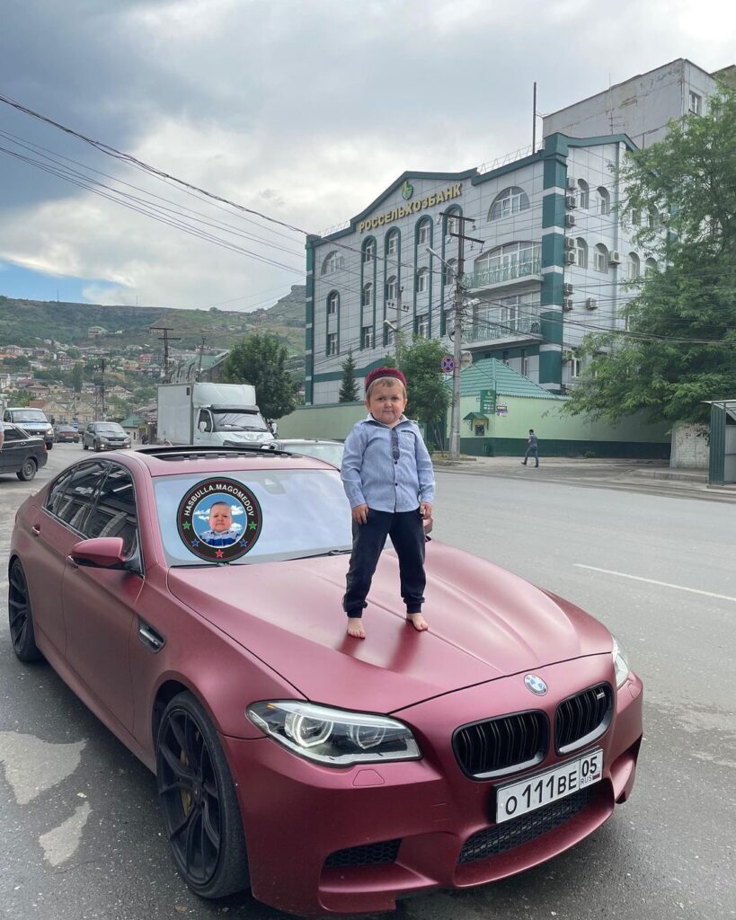 Hasbulla Magomedov net worth