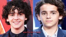 Jack Dylan Grazer biography