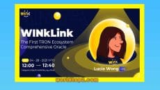 Lucia wong founder and ceo of wink and winklink crypto