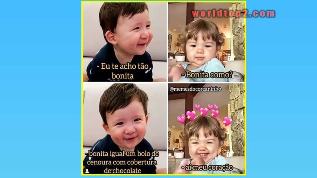 Clara Maria Werneck Vitti Bio wiki facts