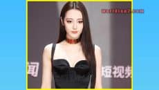 Dilraba Dilmurat Biography