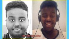 Doni Bobes Biography & Wiki