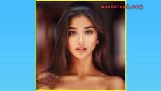 Maja Strojek Biography & Wiki