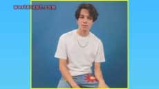 Matthew Sturniolo Biography & Wiki