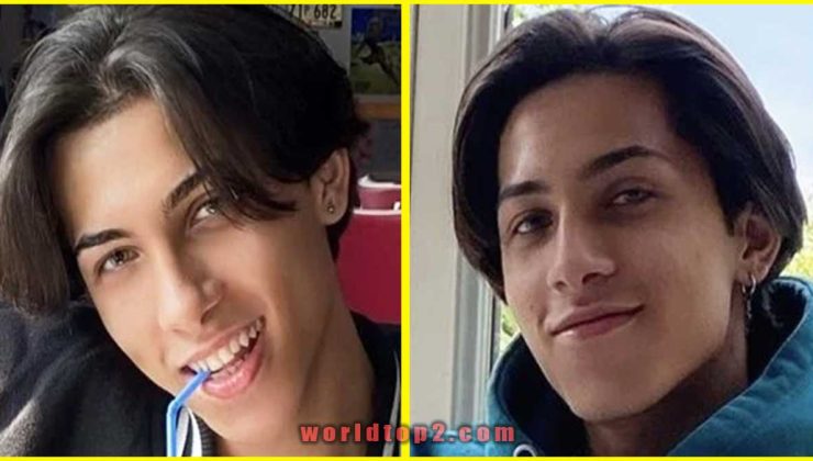 Milos Guzel Biography