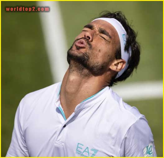 Fabio Fognini bio wiki facts