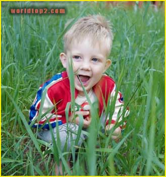 Gunner Stone bio wiki facts