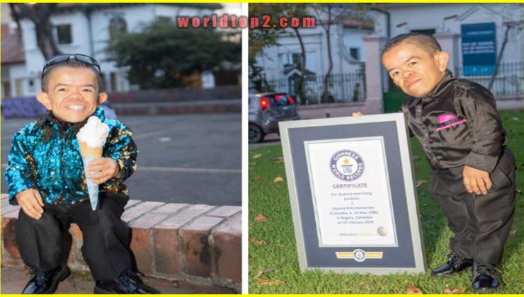 Edward Niño Hernández