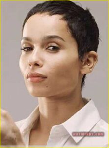 Zoë Kravitz Bio, Age, Height, Net Worth (2023), Bf, Facts
