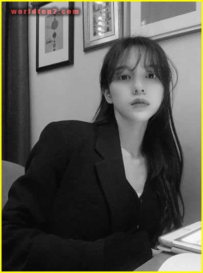 Jung Hyerin bio wiki facts