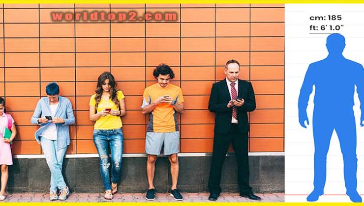 Height Comparison Tool Chart