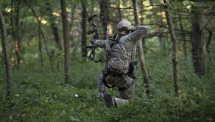 Backcountry Essentials: Gear and Survival Tips for Remote Hunts