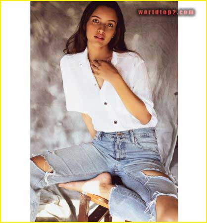 Triptii Dimri bio wiki facts