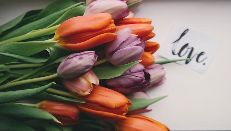 Creative Flower Choices to Spice Up Your Valentine's Day