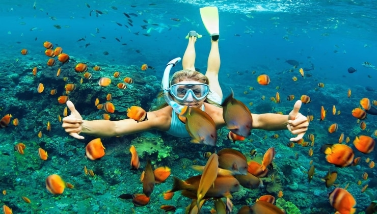 Embrace the Blue: The Thrill of Snorkelling Expeditions